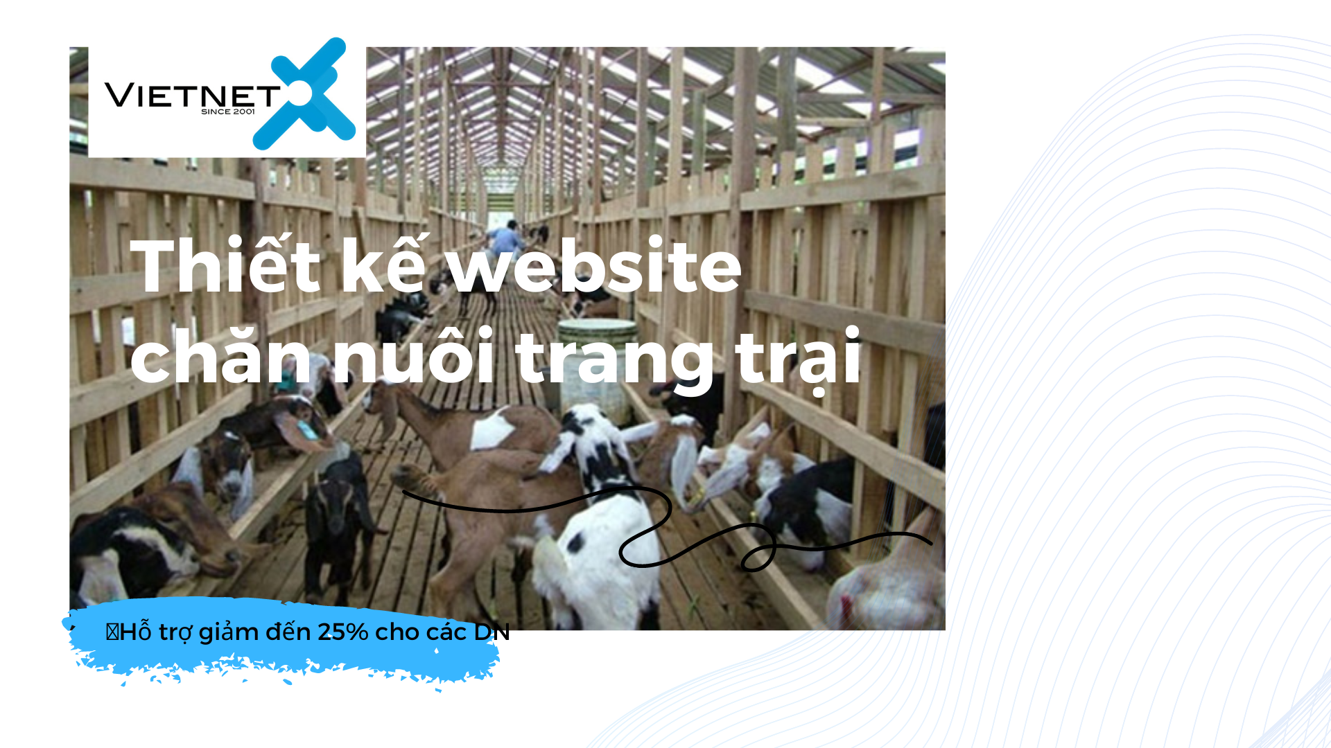 Thiết kế website chăn nuôi trang trại